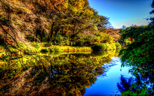 654568 (a): :1920x1200